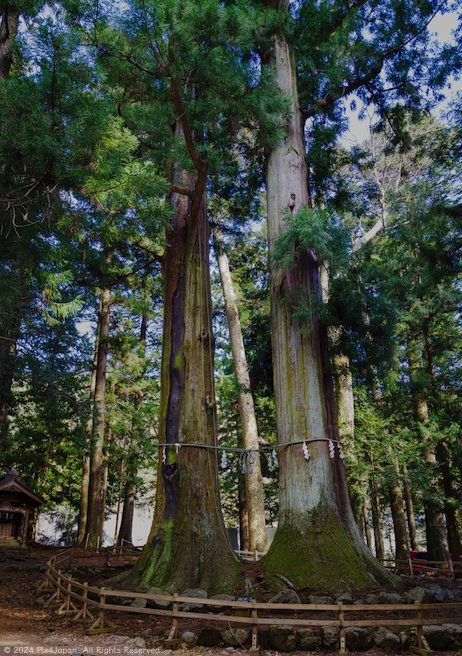 📜 용문사 비탈 (타츠몬지자카) 이미지 8
